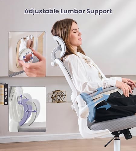 Ergonomic Office Chair, Executive Chairs with Adjustable Lumbar Support