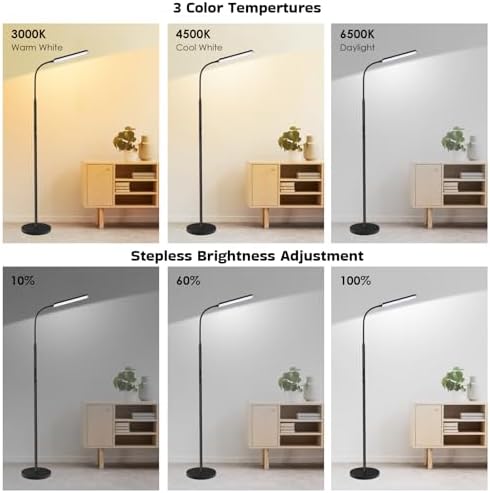 Dimunt LED Floor Lamp, Stepless Adjustable 3000K-6000K Colors, Black