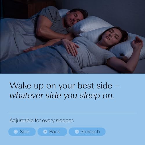 DreamyBlue Signature Adjustable Shredded Memory Foam Pillow King