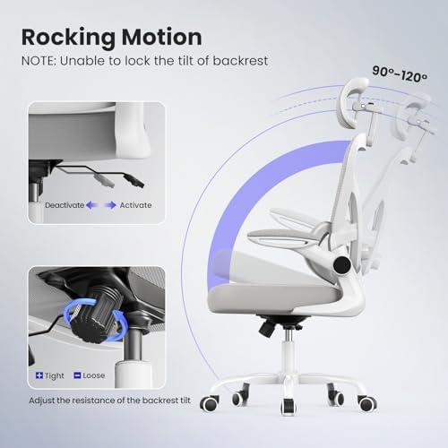 Bigzzia Ergonomic Office Chair with Lumbar Support - High Back Desk Chair