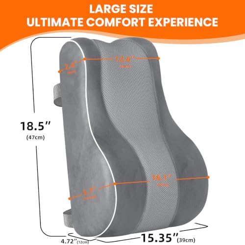 CloudBliss XL Lumbar Support Pillow, Memory Foam for Office, Light Gray