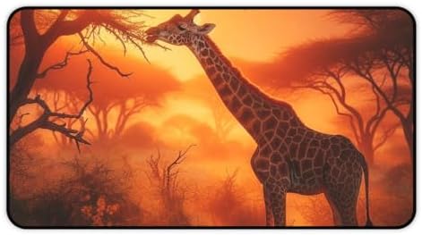 Giraffe Stretching to Nibble Leaves Glowing with Sunset Light - Vibrant Colors Premium Desk Mat
