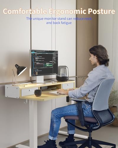 YIHAYO Electric Standing Desk with Drawers, 48 x 24 Inches Adjustable Desk with Storage Shelf, Stand Up Desk with Splice Board, Computer Table for Home Office, White Frame/Natural Top