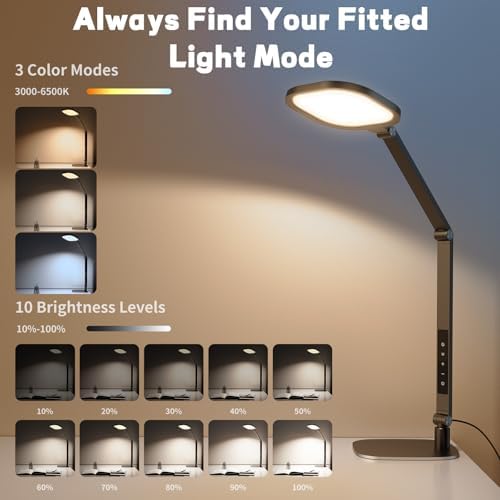LitONES 2 Packs Desk Lamp for Home Office Zoom Video Calls-Black