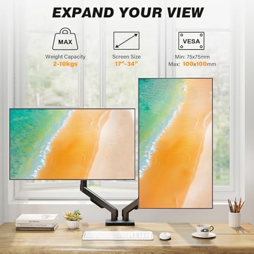 5Rcom Dual Monitor Stand for 17-34 Inch Computer Screens