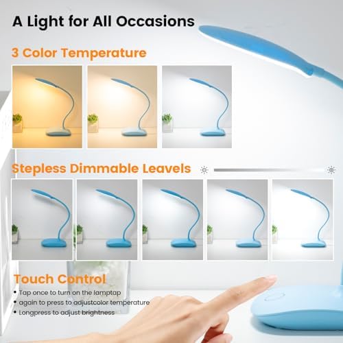 Portable Battery Powered Desk Lamp Small Rechargeable LED Table Light
