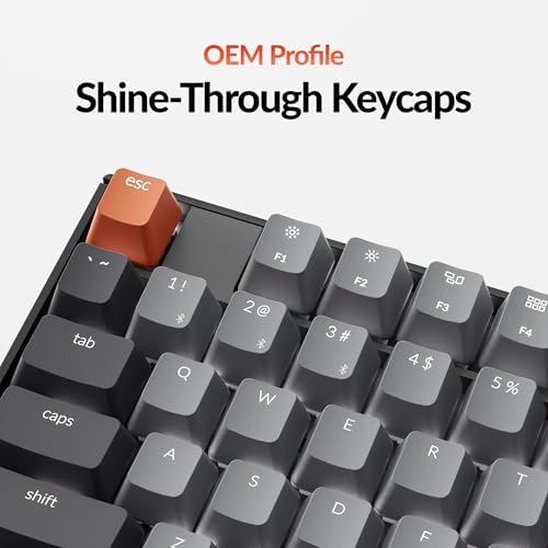 Keychron K10 Full Size 104 Keys Bluetooth Wireless Mechanical Gaming Keyboard for Mac Windows with Keychron Silent K Pro Red Switch, Multitasking/White LED Backlight/USB C Wired Computer Keyboard