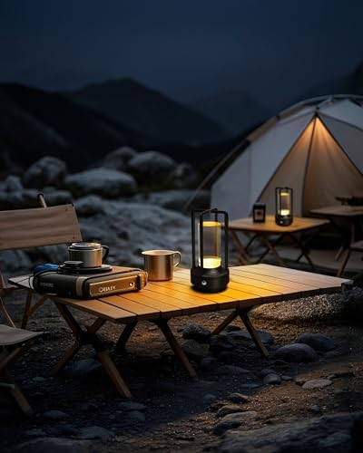 Set of 2 Cordless Table Lamps Rechargeable Desk Lamps Black