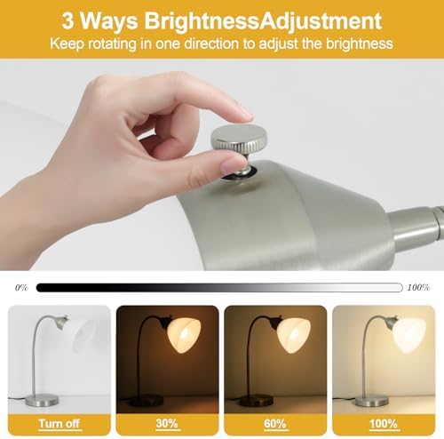 RISLG LED Desk Lamp for Home Office, 3 Levels Dimmable Reading Light, Flexible Table Lamp for Bedside Office, Rotary Switch Control, Desk Lamp for College Dorm Study Lamp, Bulb Included, Sliver