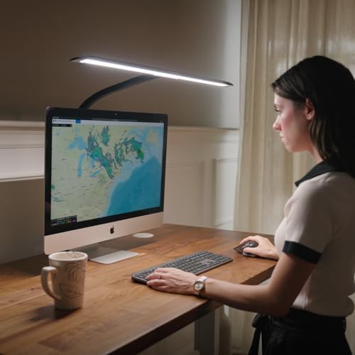 UPLIFT DESK Sliding Flex Clamp Lamp – LED Office Desk Lamp with Clamp with 6 Brightness Levels and 4 Color Temperatures, Great Work from Home and Office Accessories (Black)