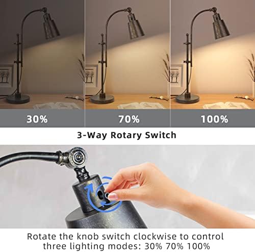 LALISU Industrial Desk Lamp, Adjustable Metal Task Lamp, Black