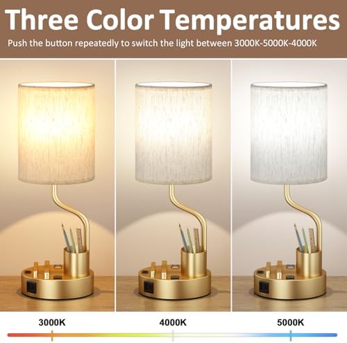 Fenmzee Bedside Lamps for Bedroom Set of 2 - Table Desk Lamp for Nightstand