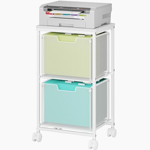 Rolling File Cart with 2 Storage Drawers,Under Desk Storage Cart