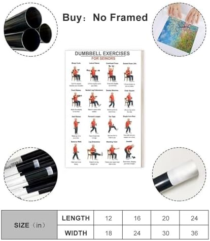 Dumbbell Exercises for Seniors Seated Chair Strength Workout Balance And Stability Training Canvas Poster Bedroom Decor Room Decor Unframe 12x18inch