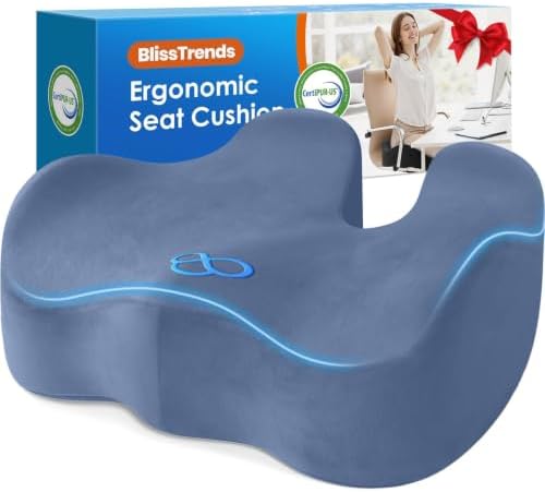 BlissTrends Extra Thick Seat Cushion for Office Chair & Car Seat, LightBlue
