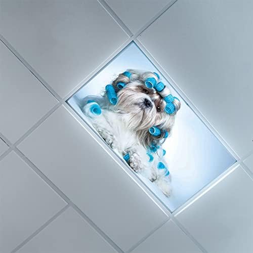 Fluorescent Light Cover Decorative Ceiling Light Filters,Dog Lover Pattern,for Classroom Office Hospitals Home Ceiling Decorative,2ft x 4ft,Blue Pale Blue White