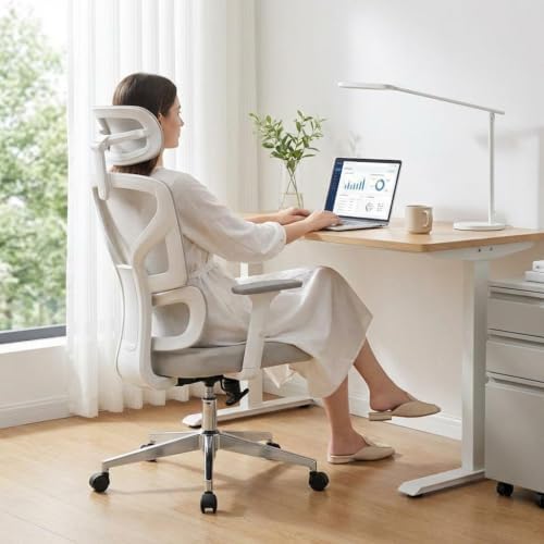 Ergonomic Office Chair with Adjustable Lumbar Support,Grey