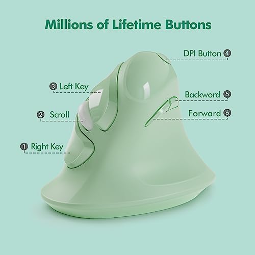 MicroPack Ergonomic Vertical Wireless Mouse, Silent Cordless Mouse with USB-A & Type-C Receiver, 800/1200/1600 DPI, 6 Buttons, Reduces Wrist Strain for Windows, Mac, PC & Laptop Green