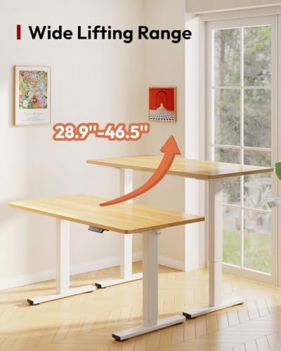 SANODESK 48''x24'' One-Piece Height Adjustable Electric Standing Desk