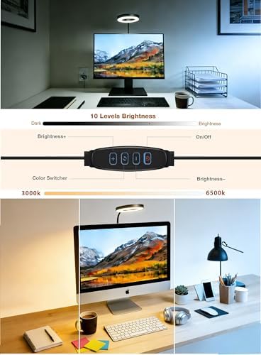 Suction Cup LED Desk Lamp for Computer Monitor, 3 Modes 10 Brightness, 7W USB Adapter, Flexible Gooseneck Ring Light for Desk, Fill Light, Office Home, Bedside, Reading, Study, Workbench, Black