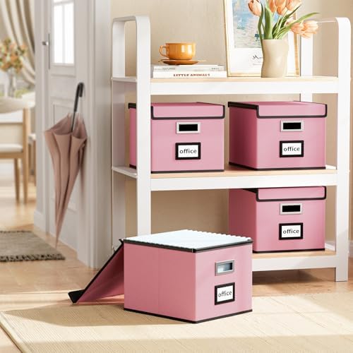 File Organizer Box with Lids, Collapsible File Folder Organizer