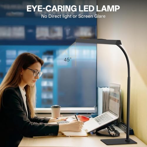 Kary LED Desk Lamp for Home Office, Flexible Gooseneck Task Light Tall 12W