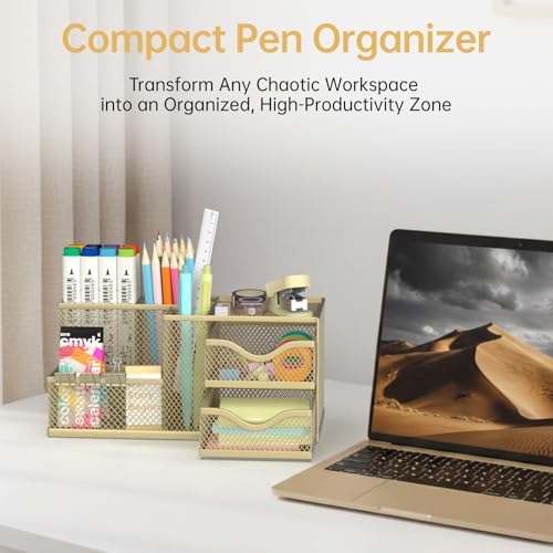 Mesh Desk Organizer with 2 Drawers, Metal Pen Holder for Desk, Gold