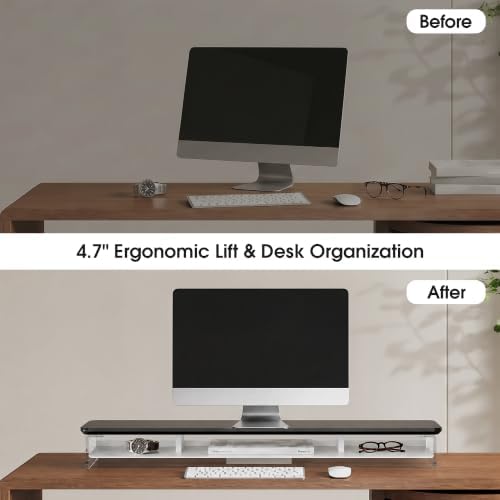 Fenge 42.5" Dual Monitor Stand with Clear Acrylic Legs, Black