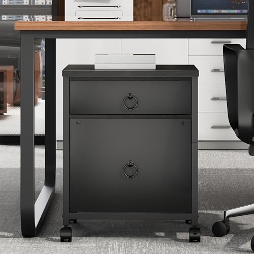 HOOBRO File Cabinet, 2-Drawer Vertical Mobile Office Cabinet, Rolling Printer Stand, for A4/Letter Size Files, Nonwovens Drawer, for Home Office, Black BB21WJ01