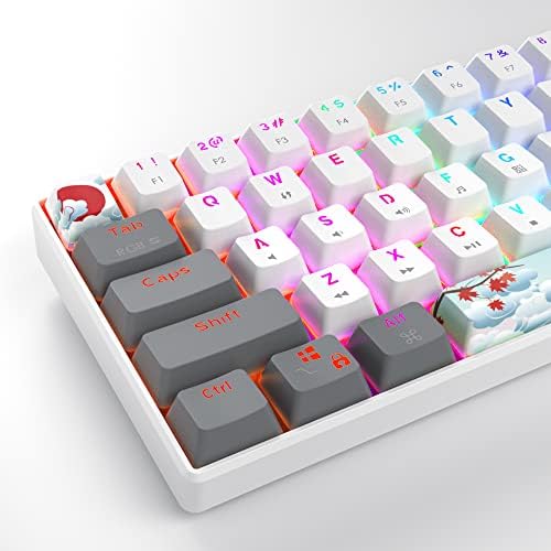 Owpkeenthy RGB Mechanical Keyboard 60 Percent Red Switches