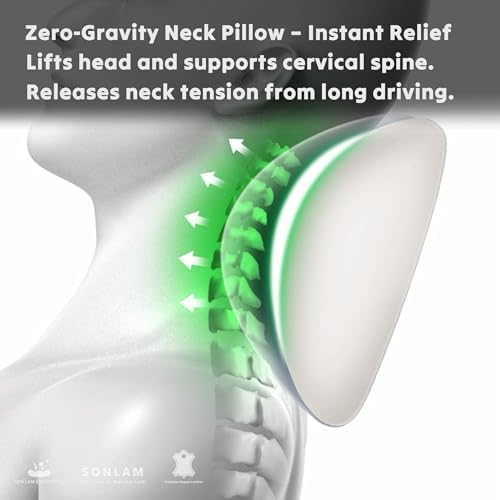 Neck Support Pillow Set for Car & Office Chair - Prosperity & Luck Dreamcatcher - Orthopedic Lumbar & Cervical Pillow for Pain Relief &Posture Correction (Neck Pillows (Coffee Brown))
