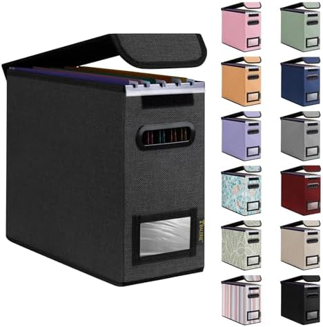 BALEINE File Organizer Box with Lid, Collapsible Hanging File Storage Box