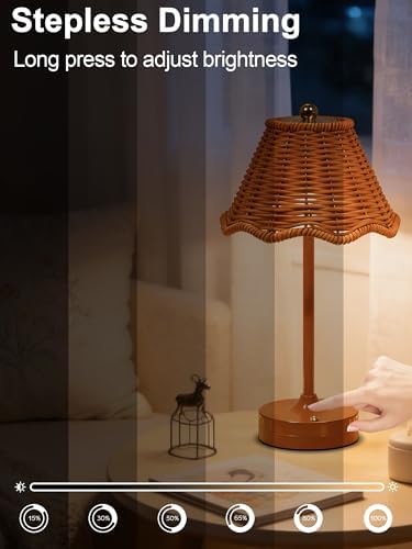 2 Pack Cordless Rattan Table Lamp,Small Wicker Lamp,Vintage Boho Lamp