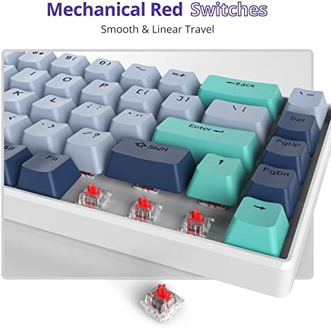 Owpkeenthy 65 Percent Mechanical Gaming Keyboard Hammerhead Shark with Red Switch Ultra Compact RGB Wired 60% Gaming Keyboard N-Key Rollover for PC Gamer Box PS