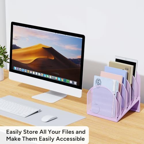 5-Section Desk File Organizer