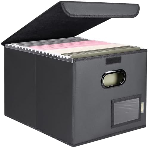 BALEINE File Organizer Box with Lid, Collapsible Hanging File Storage Box