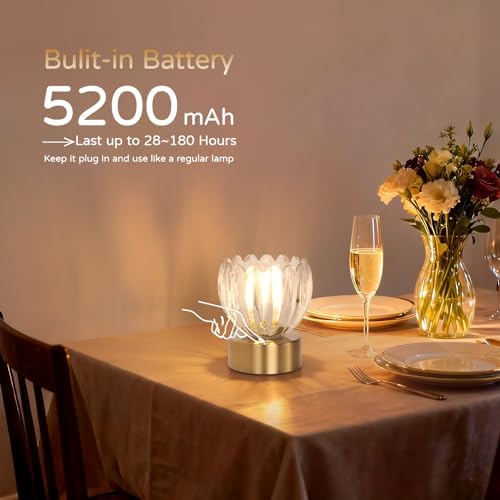 Shenmoyl Cordless Small Table Lamp with 5200mAh Battery & Touch Control, Battery Operated Tulip Table Lamp with 3 Colors, Rechargeable Mini Table Lamps for Bedsides, Bedroom, Nightstand (Transparent)