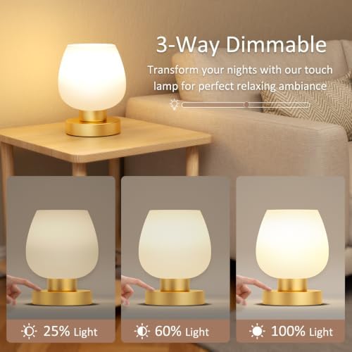 Seealle Small Touch Table Lamp for Nightstand, 3 Way Dimmable Bedside Lamp
