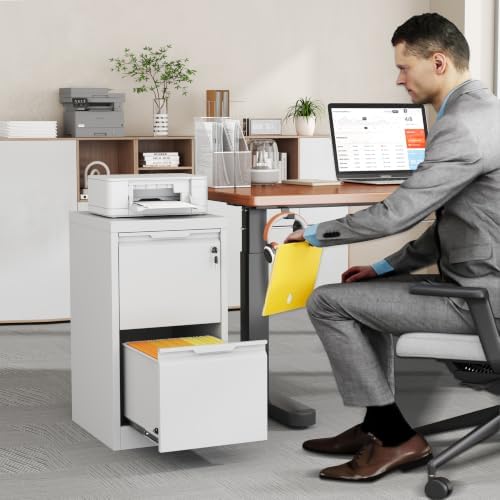 2 Drawer File Cabinet with Lock,Metal Small File Cabinet for Home Office,White Under Desk File Cabinet for Letter/Legal/A4/F4 Size File,Assembly Required