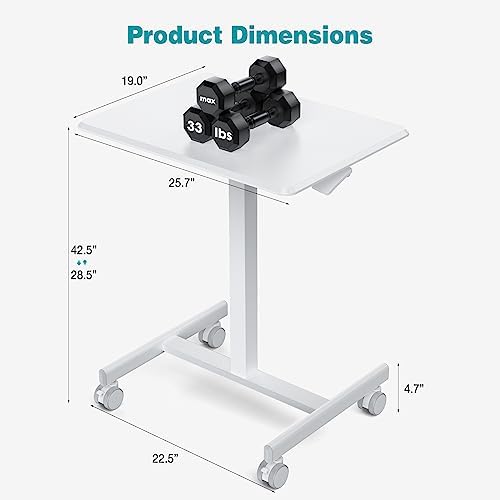 DUMOS Small Standing Desk with Wheels, Laptop Desk, 19 Inch