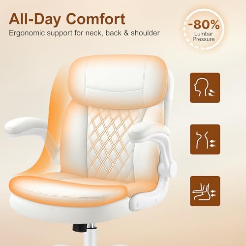 Office Desk Chair, Ergonomic Computer Chair with Unique Dual-Layer Support