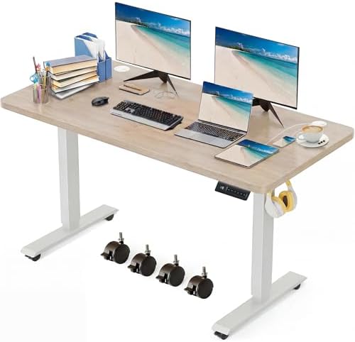 55'' × 24'' Height Adjustable Electric Standing Desk with Wheels