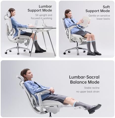 SIHOO Doro C300 Pro V2 Ergonomic Office Chair with Footrest, 2 Packs, Grey