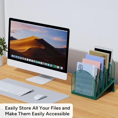 5-Section Desk File Organizer