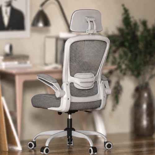 Mimoglad Office Chair, High Back Ergonomic Desk Chair with Adjustable Lumbar Support and Headrest, with flip-up Armrests for Guitar Playing, 5 Years Warranty (Modern, Grey/Gray)