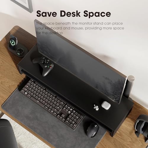 Fenge 31.5 Inch Dual Monitor Stand Riser for Desk, Black