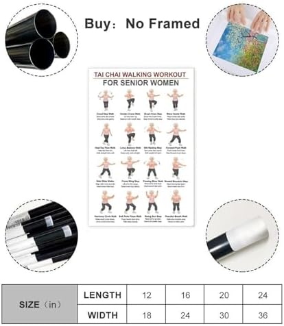 Women Tai Chi Walking Workout Chart Tai Chi Walking Seniors Seniors Exercises for Exercise Canvas Poster Bedroom Decor Room Decor Unframe 24x36inch