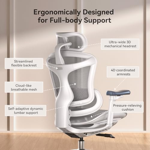SIHOO Doro C300 Ergonomic Office Chair with Ultra Soft 3D Armrests
