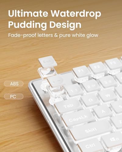 SEUNKWANG Wired Backlit Keyboard with Pudding Keycaps, Quiet Full Size Computer Keyboard White Backlight Easy-to-Read, Never Fade, Metal Panel, USB Cute Desk Setup for Windows PC Desktop, White