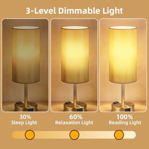 Bedside Table Lamp, Dimmable Touch, AC Outlet, USB A+C (Gold)